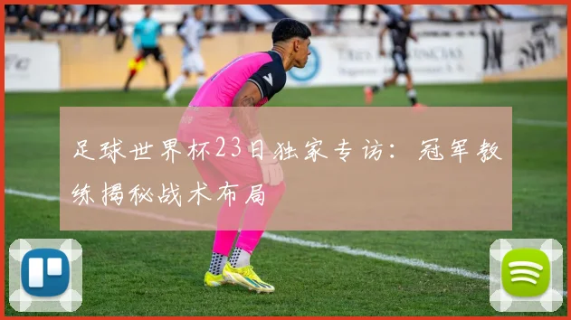 足球世界杯23日独家专访：冠军教练揭秘战术布局